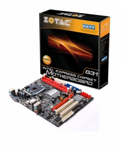 ZOTAC G31